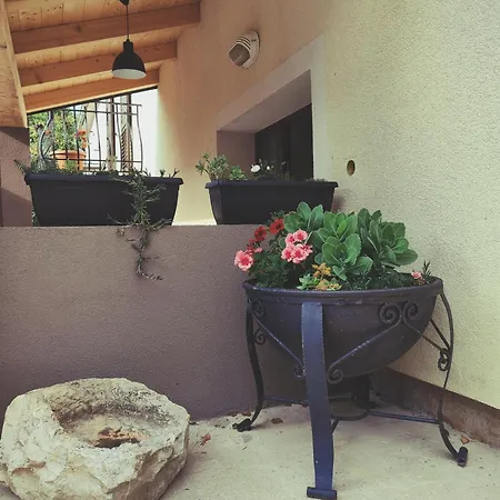 Judita Villa *